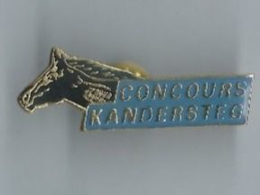 Placchette & Badge: Concours Kandersteg PIN – Usato da Zürich venduto da t24_de