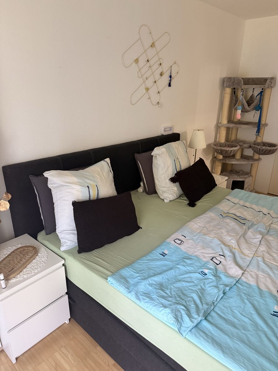 Letti: Boxspringbett – Usato da St. Gallen venduto da Hodzic 1