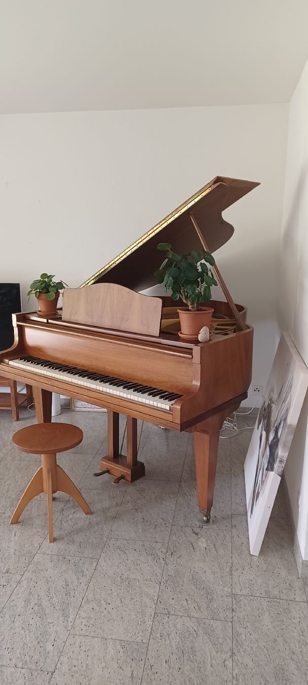 Strumenti musicali: Flügel(klein) – Usato da Biel-Benken BL venduto da Live010