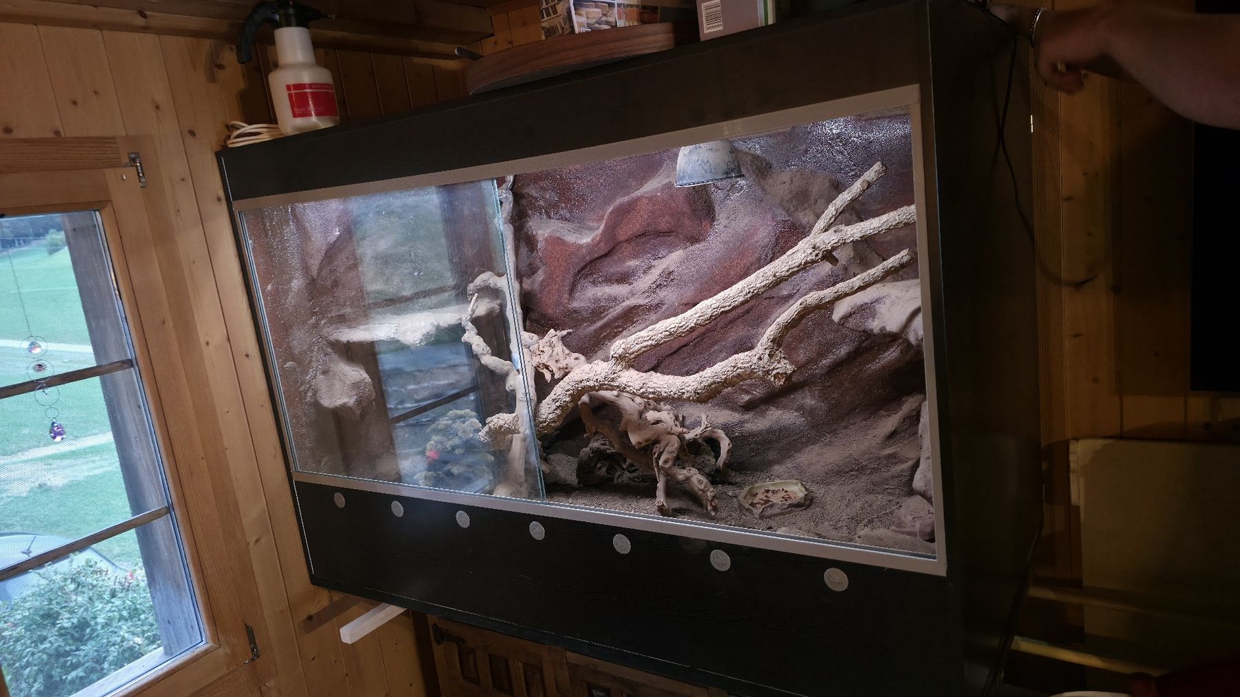 Terrariums: Terrarium – D'occasion à Walkringen par mar_gm5h
