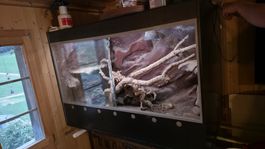 Terrarium