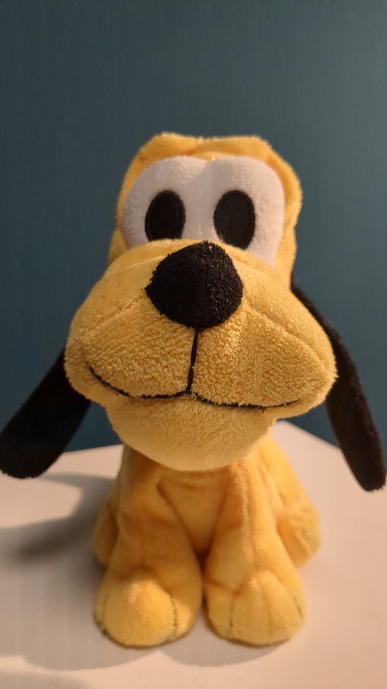 Disney Giocattoli: Disney Plüschtier Pluto – Usato da Randa venduto da est_m9n9