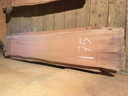 Birnbaum Furnier Bund 175