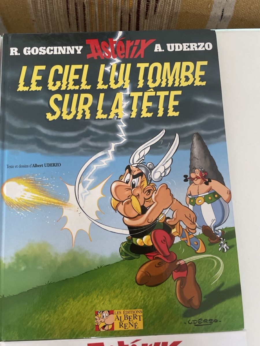 Fumetti: 5 bandes dessinées Astérix – Nuovo (secondo la descrizione) da Dübendorf venduto da fel_cxq9 1