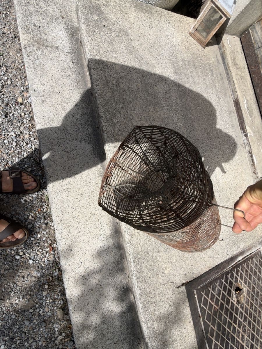 Canne da pesca: Antike Fischreuse Drahtkorb alt Vintage Korb Rustikal – Usato da Laupen ZH venduto da atmagym 1
