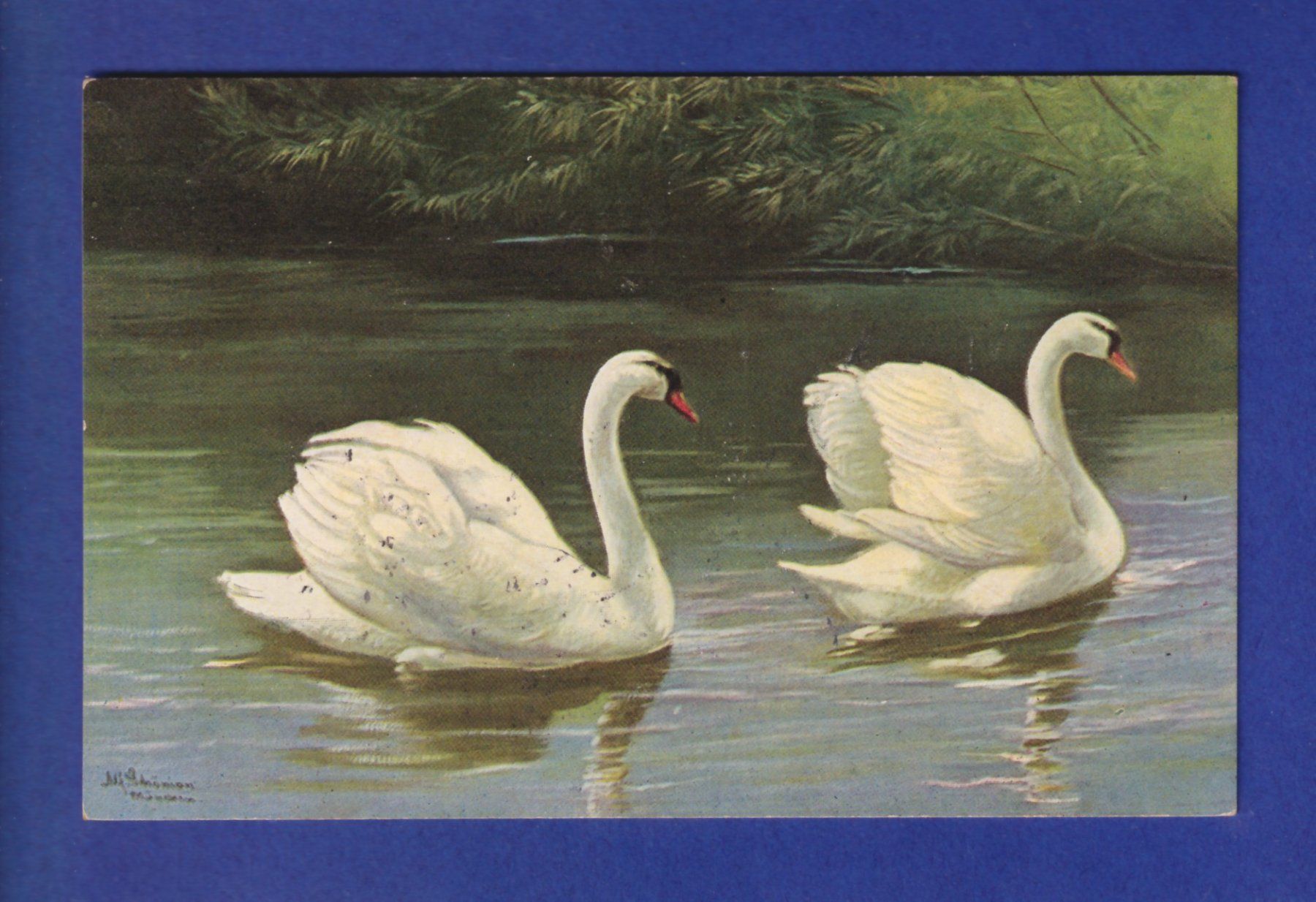 Cartoline postali: OISEAU - Cygnes – Usato da Pully venduto da nicecards-shop