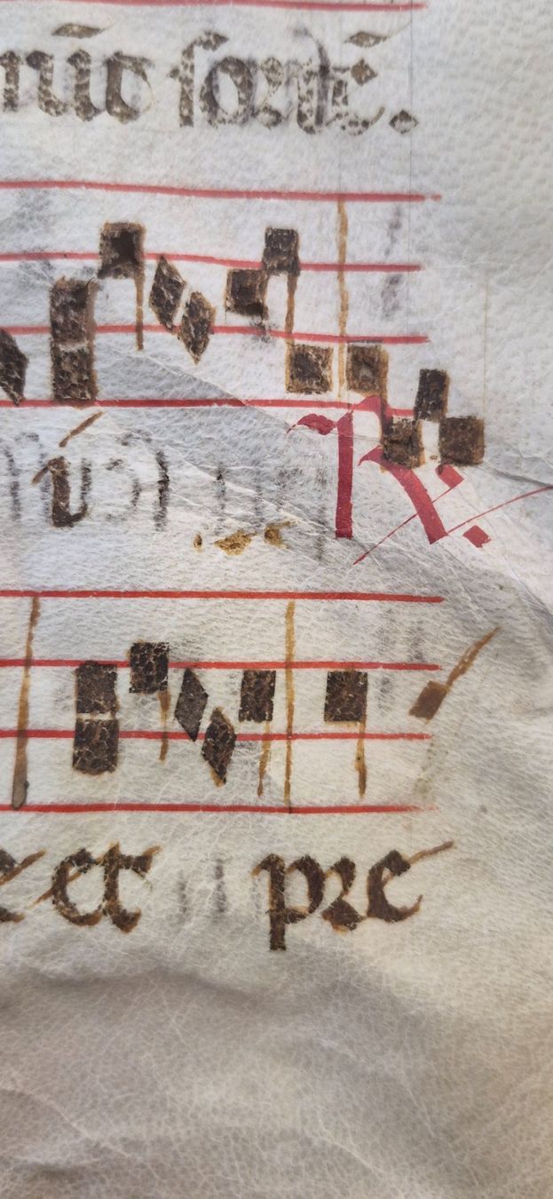 Bücher: Antiphonarblatt Antik – Gebraucht aus Degersheim von Tosam_Degersheim 4