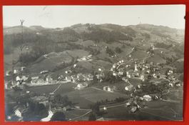Bühler 1923