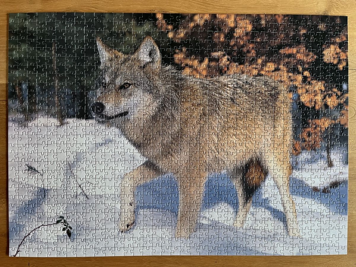 Ravensburger Puzzles: Puzzle Wolf – D'occasion à Zürich par Gurkis 1