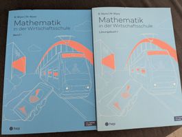 Mathematik in der Wirtschaftsschule Band 1: Lösungsbuch 1