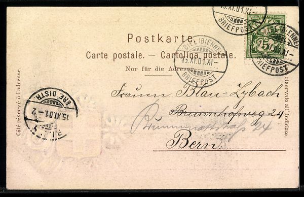 Cartoline postali: Relief-AK Douanne, Totalansicht des Orte – Usato da Berlin venduto da bartko-reher 1