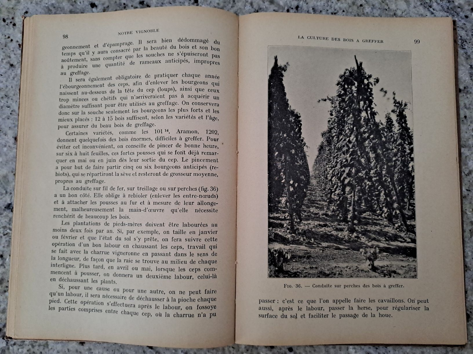 Libri: Vintage Viticulture Book "Notre Vignoble" – Usato da Genève venduto da sunsustains 7