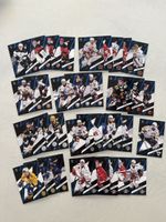 Sportzoo playoff /60