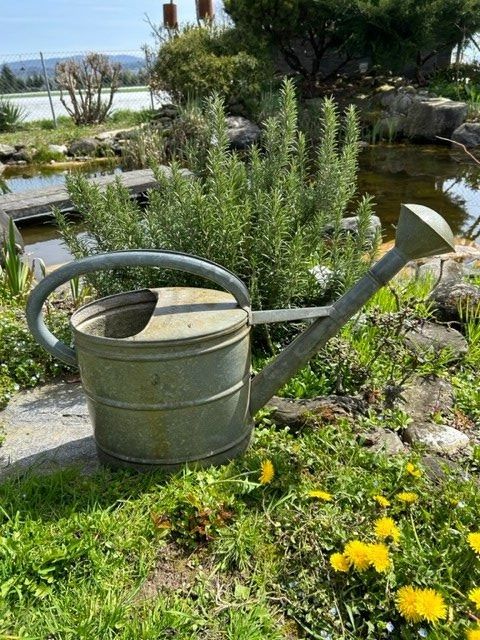 LIVLIG Gießkanne 10 Liter Aus Metall – Mit Abnehmbarer Messingbrause, Verzinkt, Pink, Für Garten & Balkon