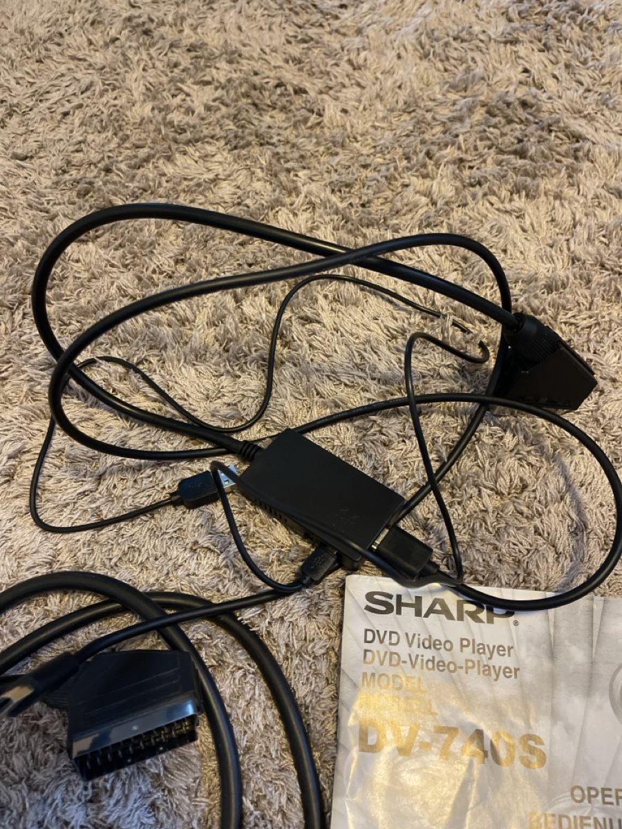 Sharp Lettore multimediale & Streamer: Sharp DVD-Player DV-740S mit HDMI konverter – Usato da Unterkulm venduto da AnoliOccasion 2