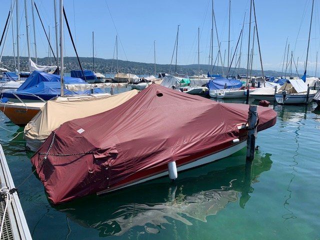 Wellcraft Barche: Wellcraft 23 Nova XL – Usato da Illnau venduto da Stayon64 6