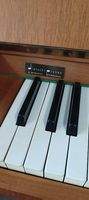 Rieger-Kloss Piano  schöner Klang & klassisches Design
