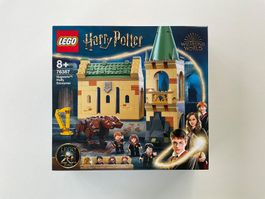 Lego 76387 Harry Potter Begegnung mit Fluffy NEU/OVP