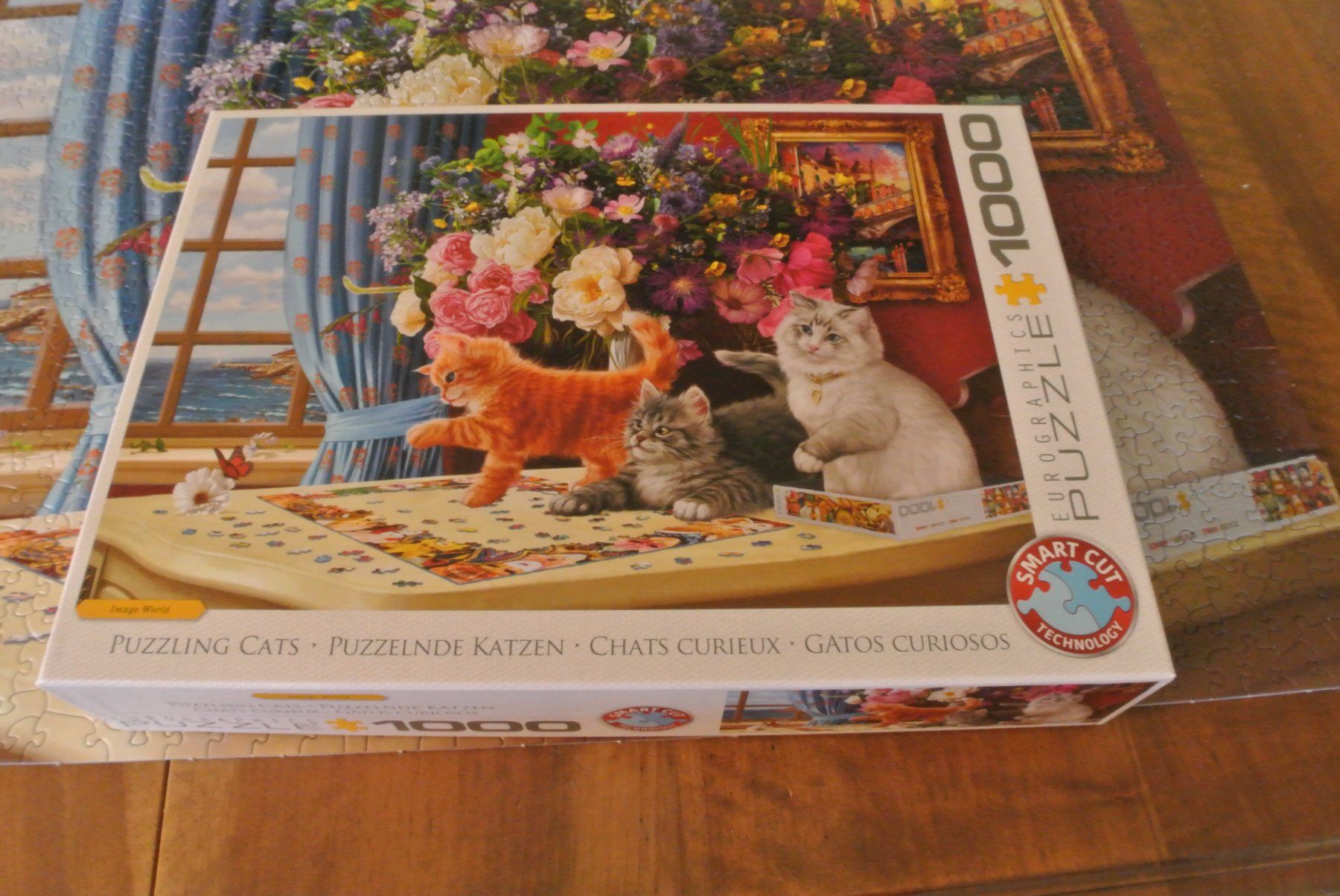Puzzle: Puzzle 1000 Teile Katzen – Usato da Rüschlikon venduto da CBPL