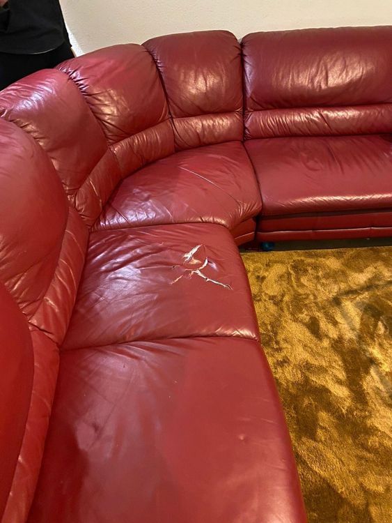 XXL echt Leder Sofa Kaufen auf Ricardo