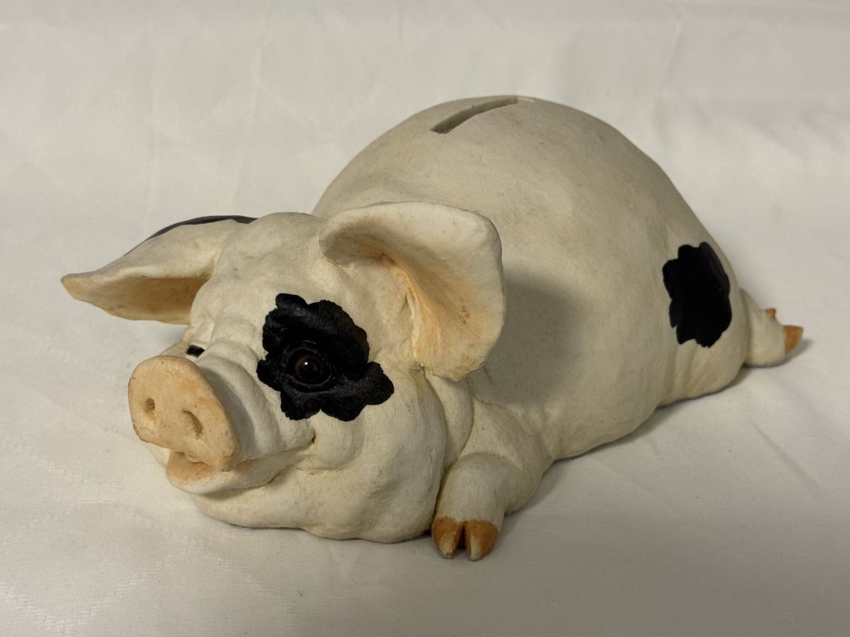 Salvadanai: spezielles Sparschwein – Usato da Schwerzenbach venduto da schwerzi70 1