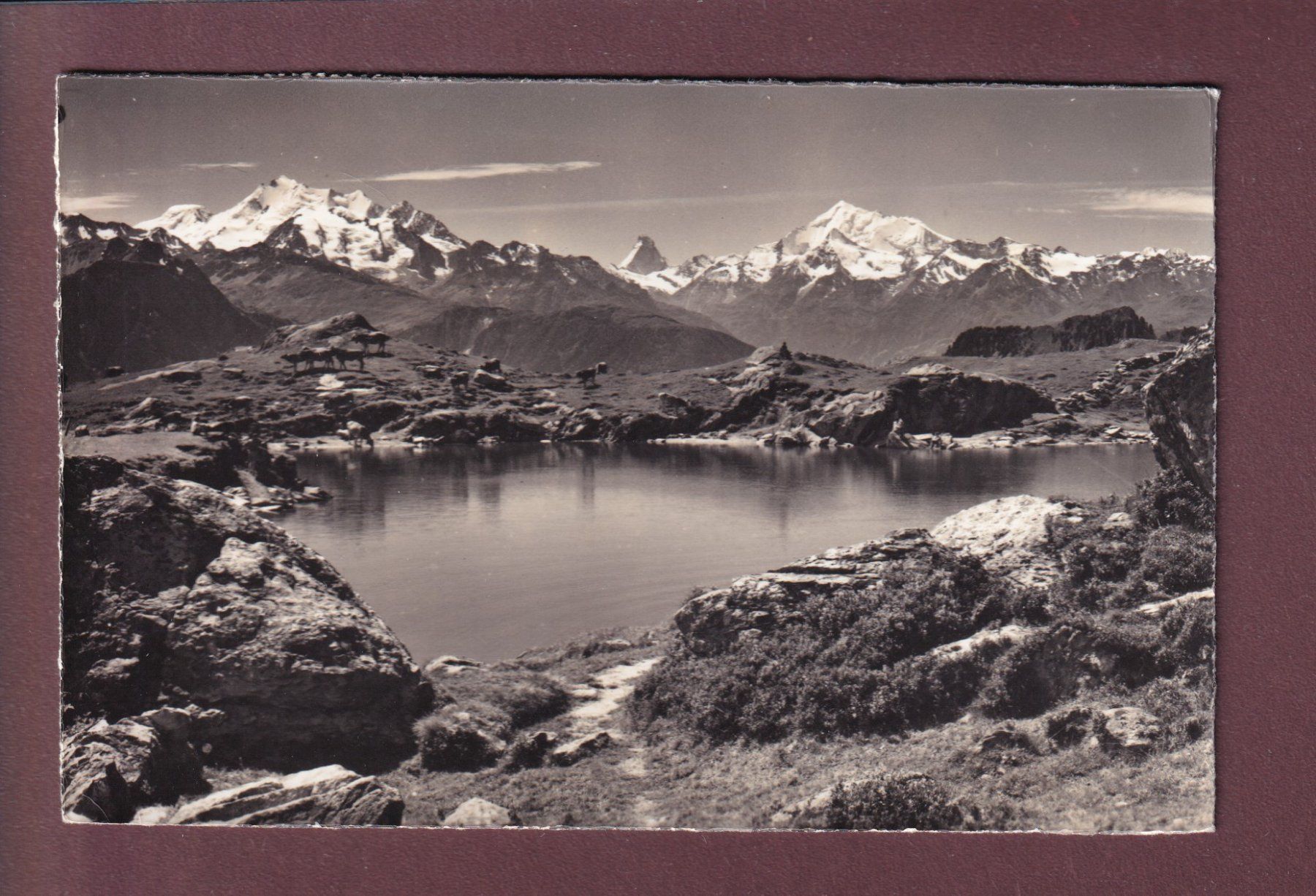 Cartoline postali: BLAUSEE ob Riederalp - 1964 – Usato da Pully venduto da nicecards