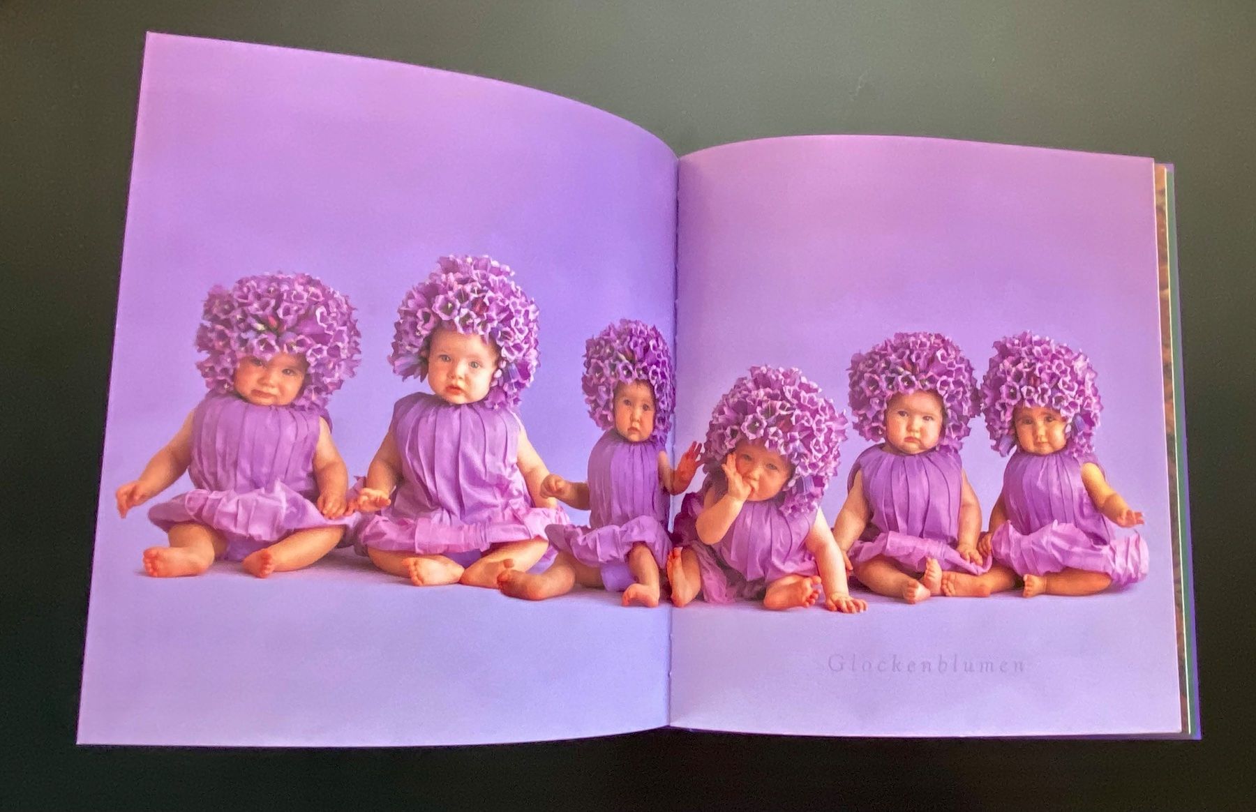Libri: DRUNTEN IM GARTEN / ANNE GEDDES – Usato da Nussbaumen AG venduto da schuba2000 3