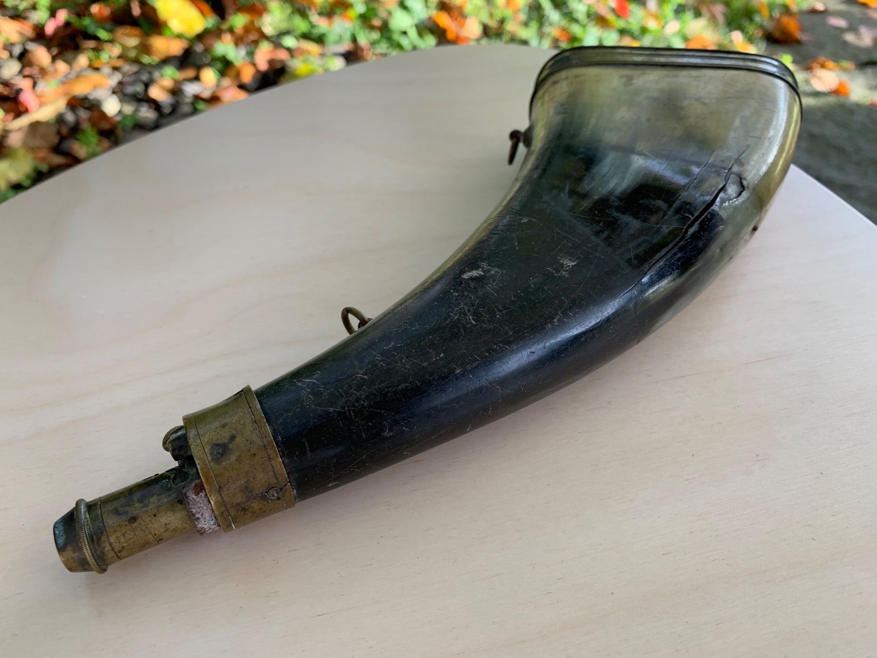 Il mondo degli animali: antikes Pulverhorn – Usato da Feldbach venduto da Olive1 1