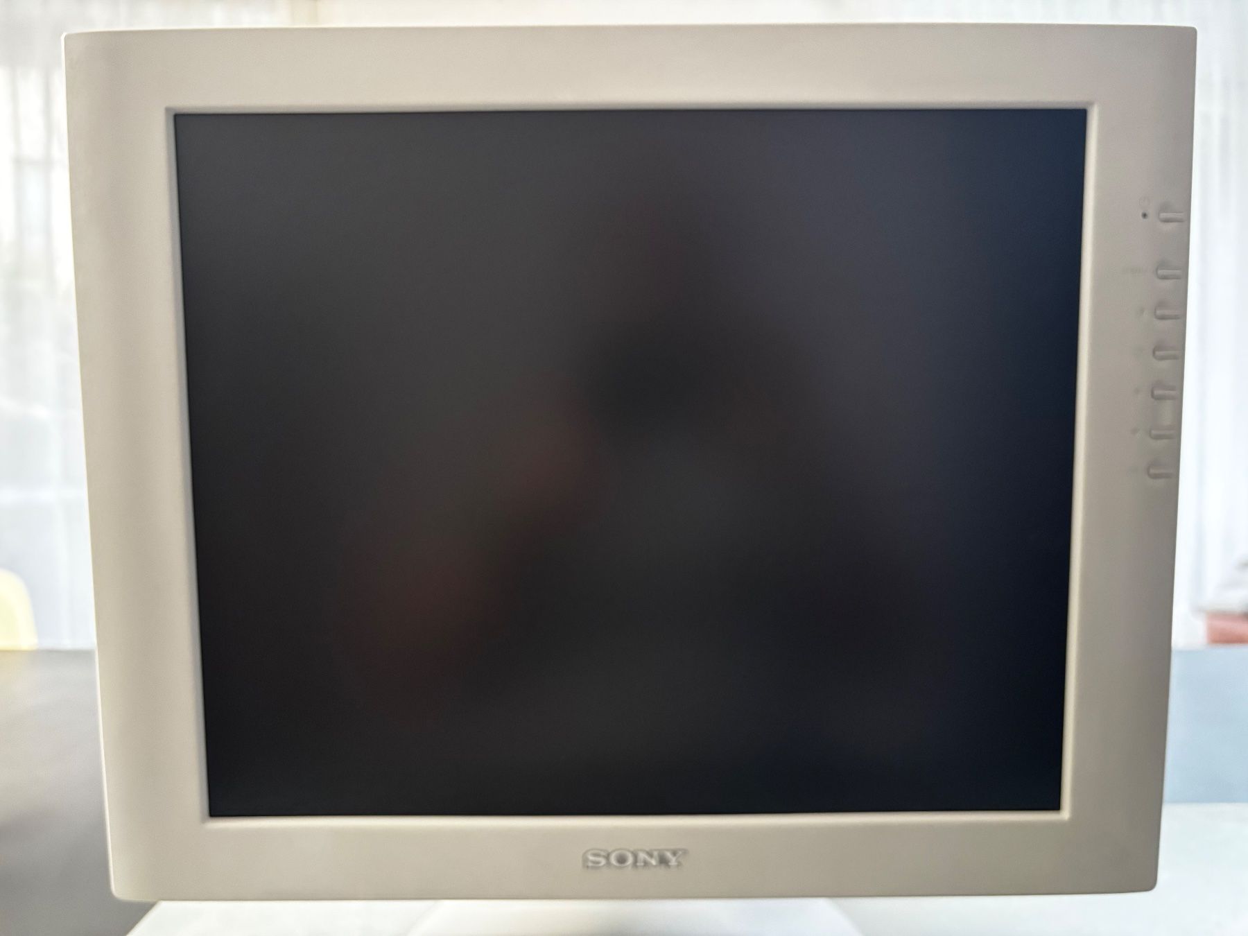 Sony SDM-S71 17-inch LCD Monitor - Stylish and Reliable (Gebraucht) in ...