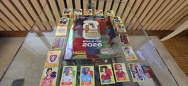 Panini 145 Aufkleber + Album