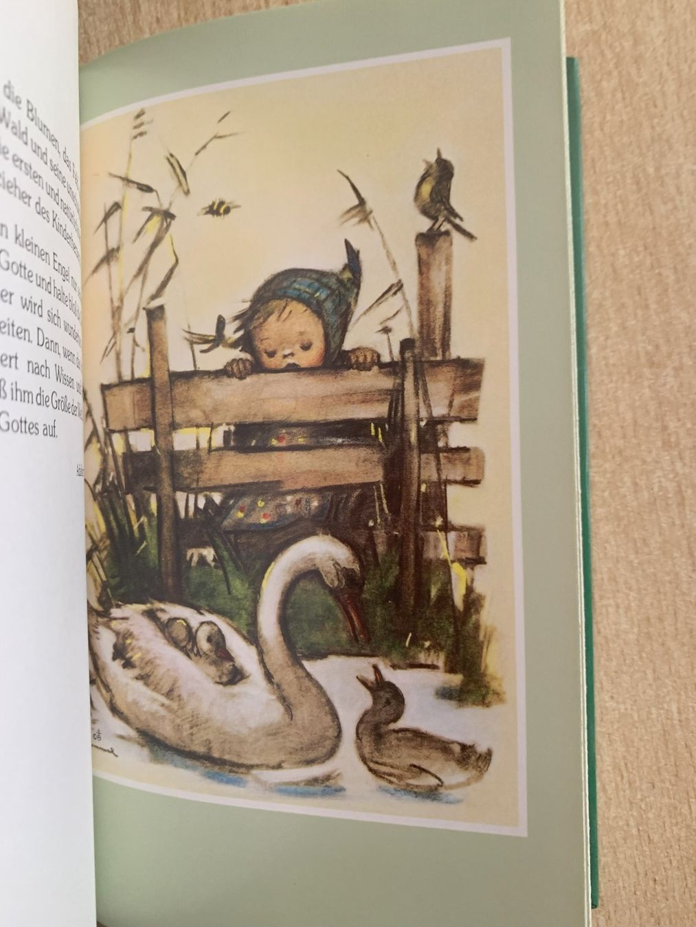 Livres: Fröhliche kleine Welt – D'occasion à Reinach BL par Grolifcb 5