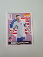 Panini Extra Sticker