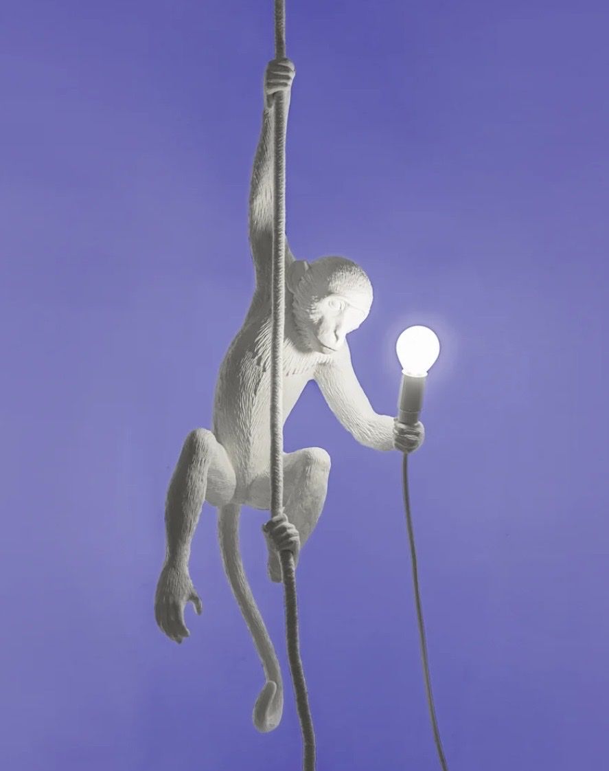 Seletti Lampes: Seletti Affe Lampe Deckenversion weiss  – D'occasion à Bülach par roman334 5