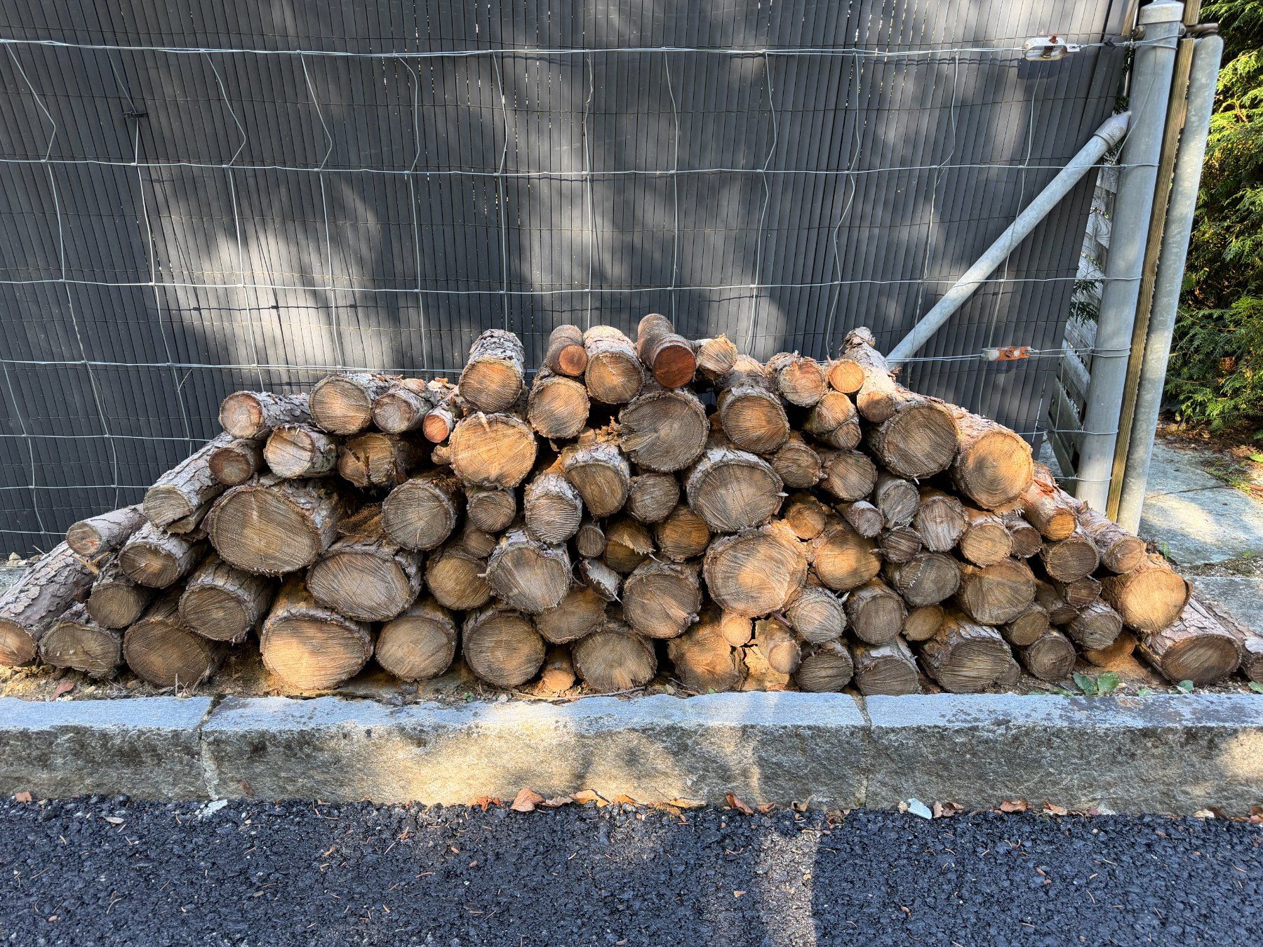 Articoli in legno: Brennholz Zypresse – Usato da Pfeffingen venduto da McStrada