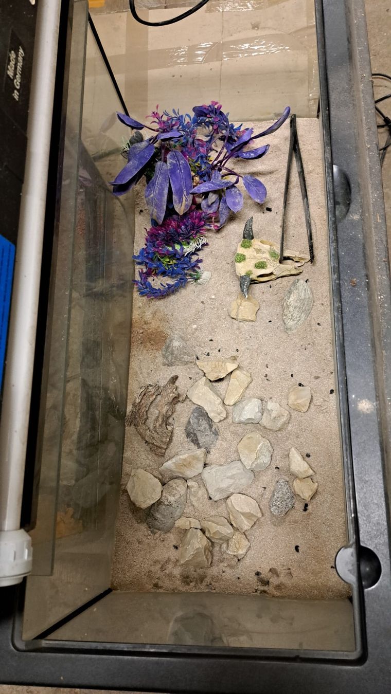 Acquari: Aquarium 110 Liter – Usato da Oberentfelden venduto da Myri13 4