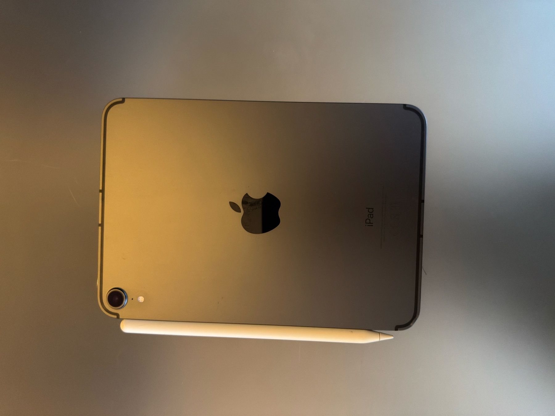 Apple Tablettes PC: iPad mini 6 - 256Go Cellular 5G + Pencil 2 + accessoires – D'occasion à Vandoeuvres par reverdinf 6