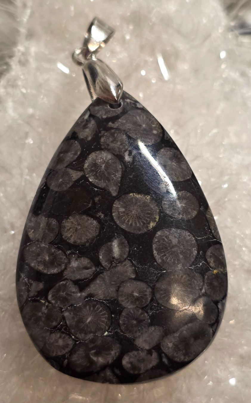 Mineralien & Heilsteine: Schwarzer Korallenjaspis Tropfenanhänger D – Neu und originalverpackt aus Matzingen von Shay_Crystalz