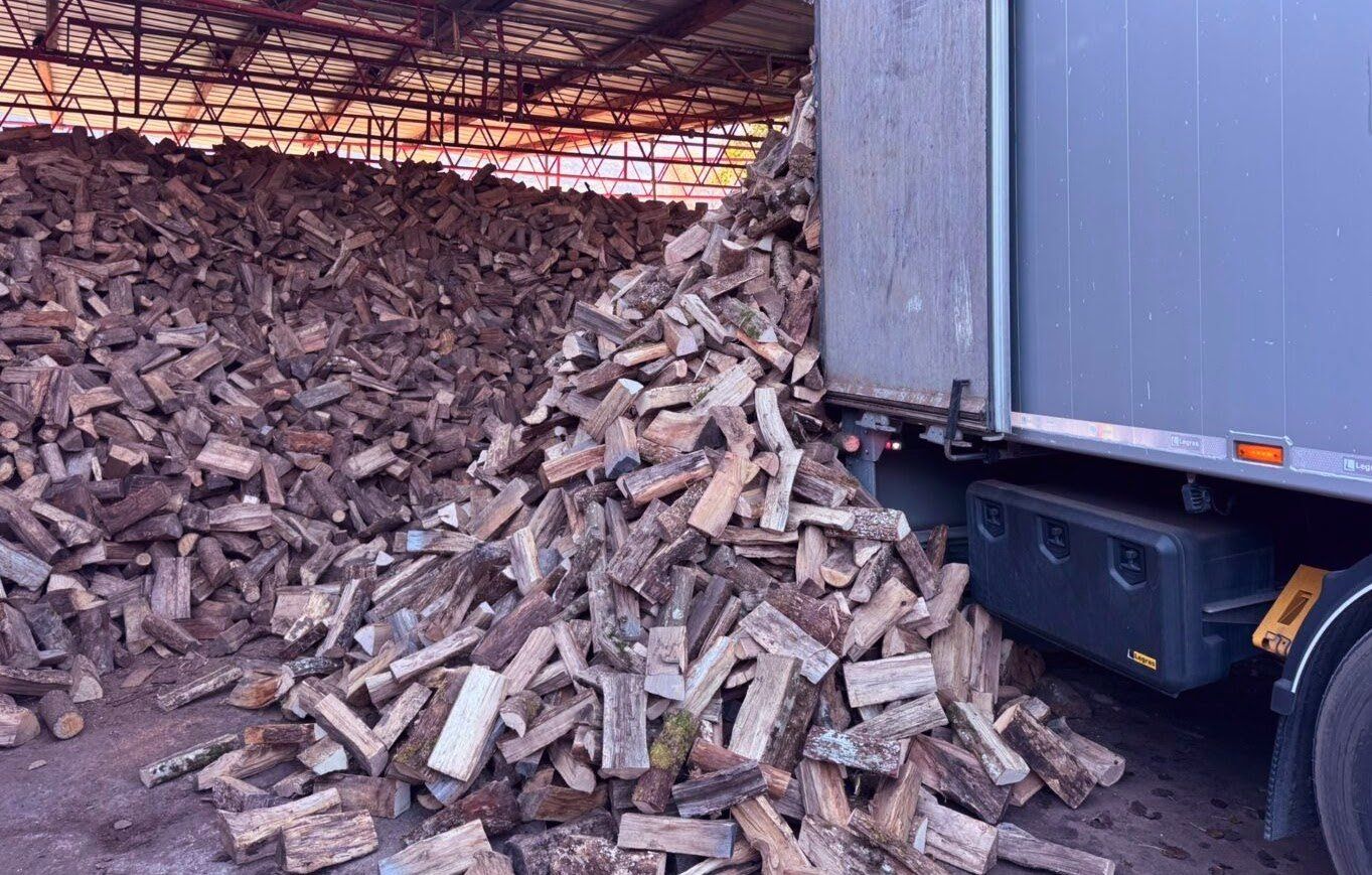 Articoli in legno: Bois de chauffage de qualité (3 types) – Usato da Vétroz venduto da Polygroup 3