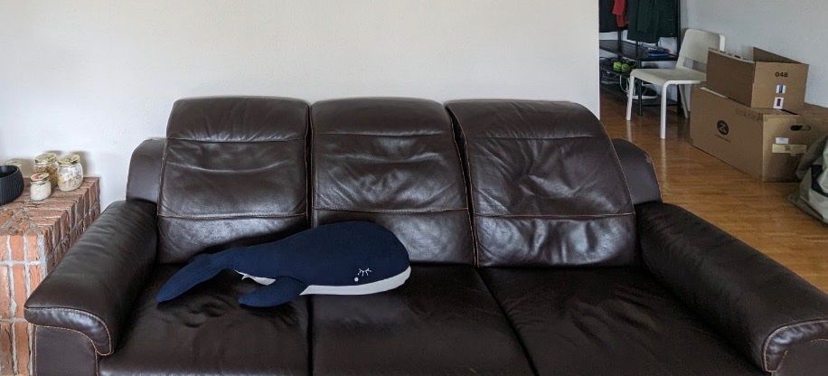 Divani: 3 Sitzer Sofa / Ledersofa – Usato da Dübendorf venduto da ame_m57w