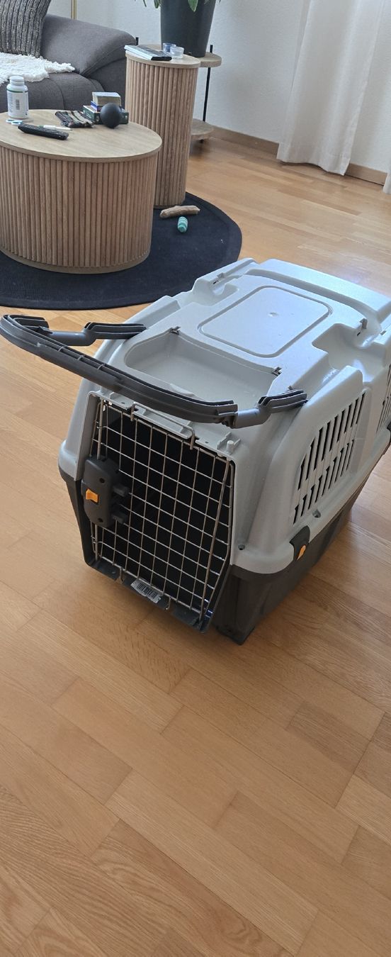 Gabbie, trasporto & Sicurezza: Transportbox Skudo 4 S/M – Usato da Zollikerberg venduto da Thrisha 1