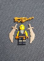 Lego Ninjago Cole