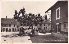 Tannay VD // ca. 1910 Sous le platanes Kutsche Menschen