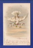 OISEAU - Colombes