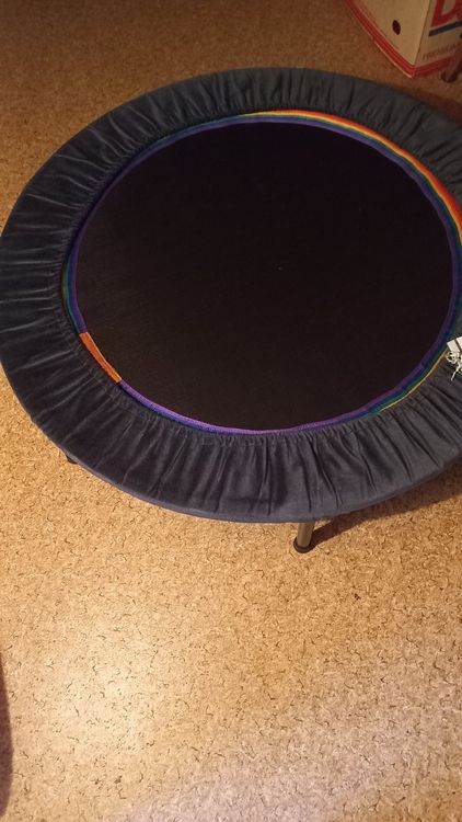 Lymph-Rebounder, Trampolin, Indoor 1