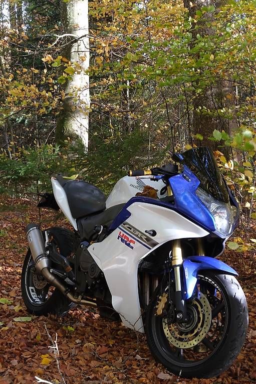 Honda Tutti i ricambio per moto: Motorradverschalung Honda CBR 600f 2012 – Usato da Innerberg venduto da nic_wz2c 3