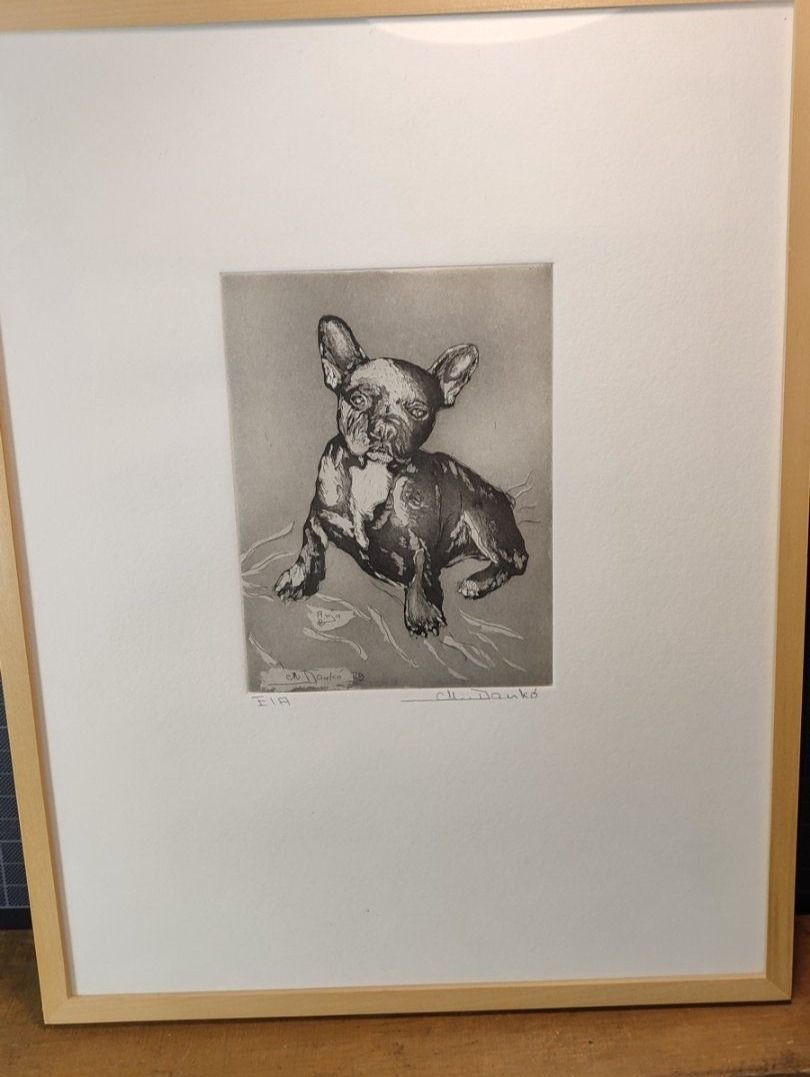 Foto & Immagini: Wunderschönes Bild von einem Hund von M.Danko – Usato da Gelterkinden venduto da MYSTOREFORYOU4460ART