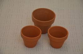 3 STUCK CACTUS TON VASE