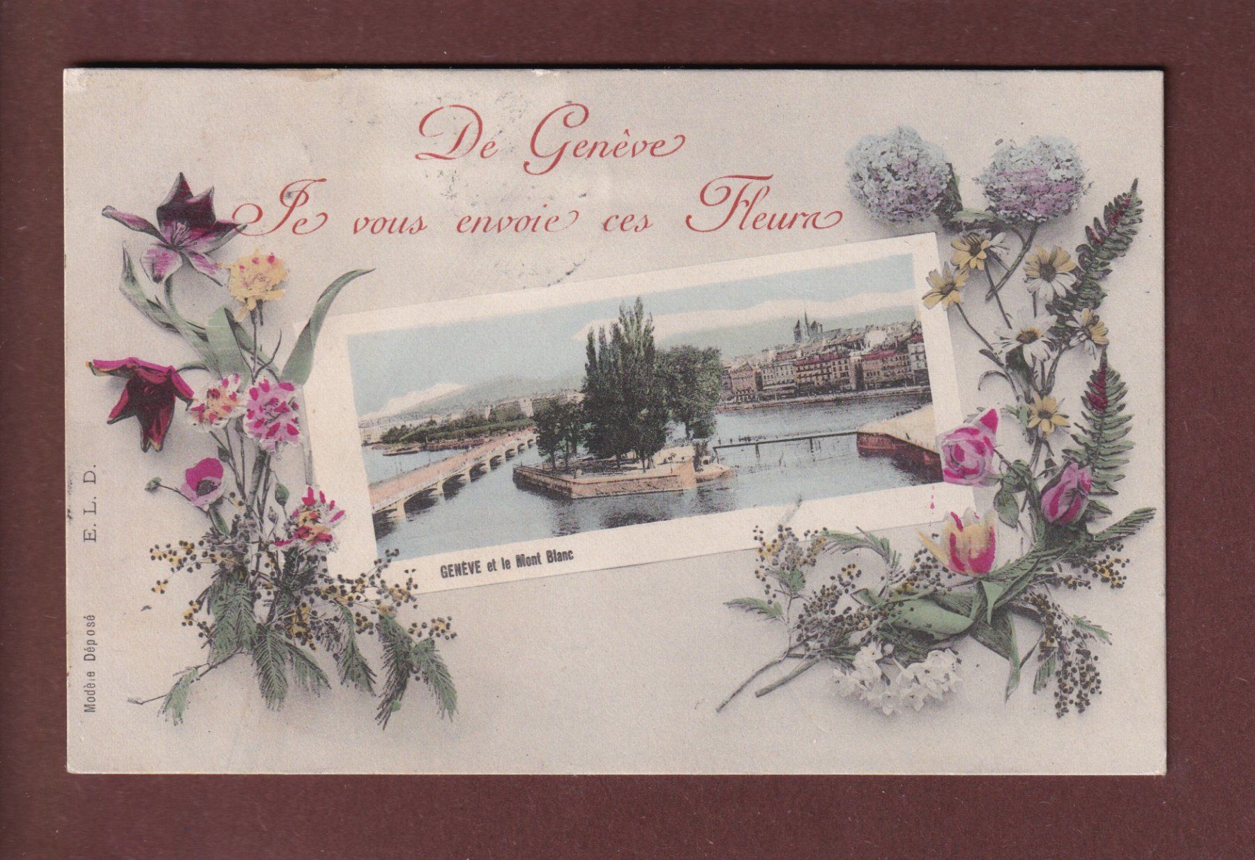 Ansichtskarten: GENEVE - Fleurs - 1906 – Gebraucht aus Pully von nicecards