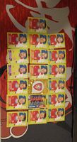 Fussball Sticker Set Tschechien Panini 2026