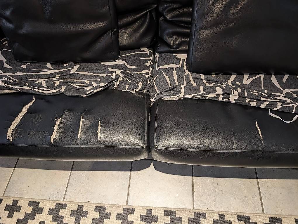 Divani: Canapé en cuir Roche Bobois  – Usato da Athenaz (Avusy) venduto da che_6dfd 2
